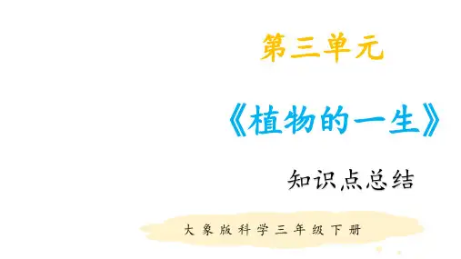 大象版小学科学新版三年级下册科学第三单元知识点总结