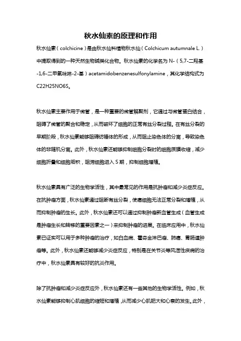秋水仙素的原理和作用