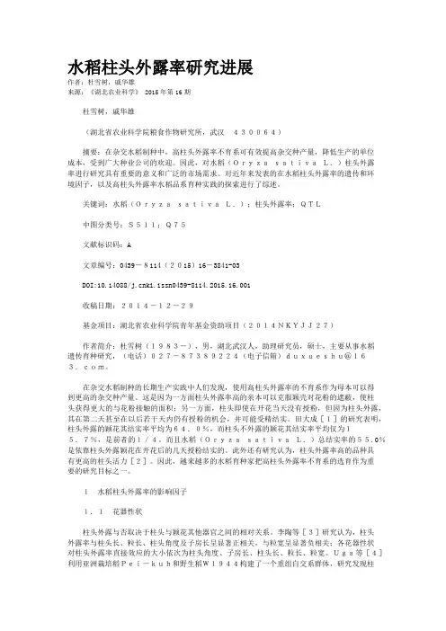 水稻柱头外露率研究进展
