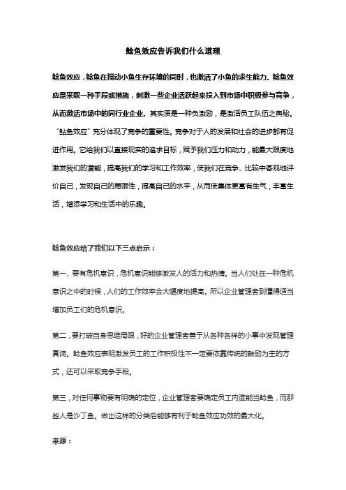 鲶鱼效应告诉我们什么道理
