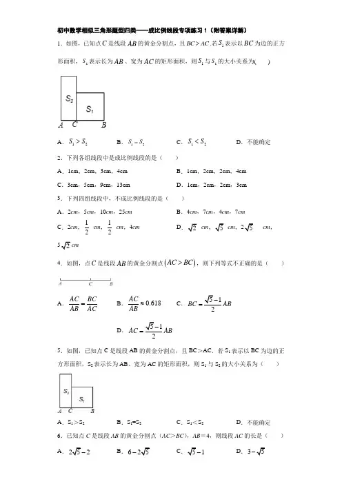 初中数学相似三角形题型归类——成比例线段专项练习1(附答案详解)