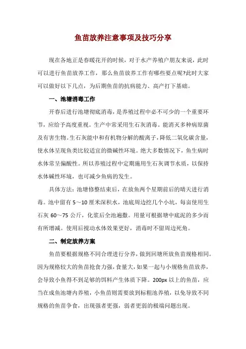 鱼苗放养注意事项及技巧分享