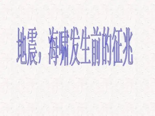 地震,海啸发生前