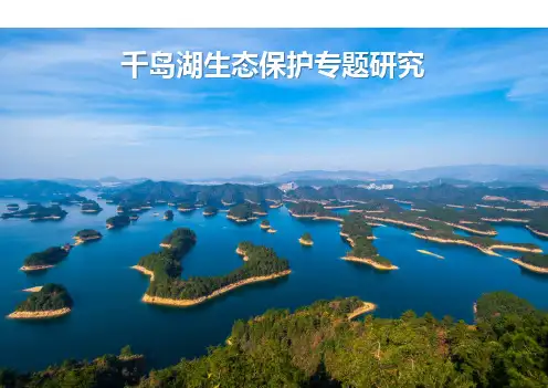 2020年千岛湖生态保护策略专题研究(精品)