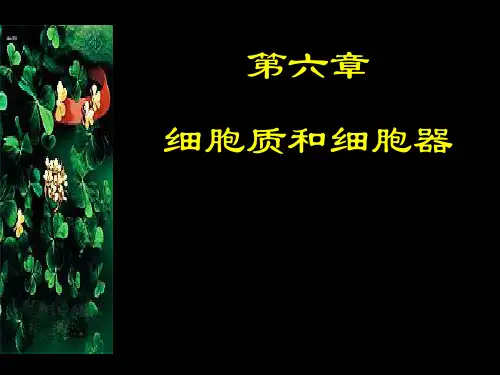 医用细胞生物学第六章