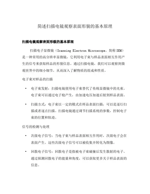 简述扫描电镜观察表面形貌的基本原理