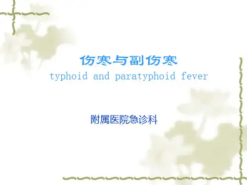 伤寒与副伤寒