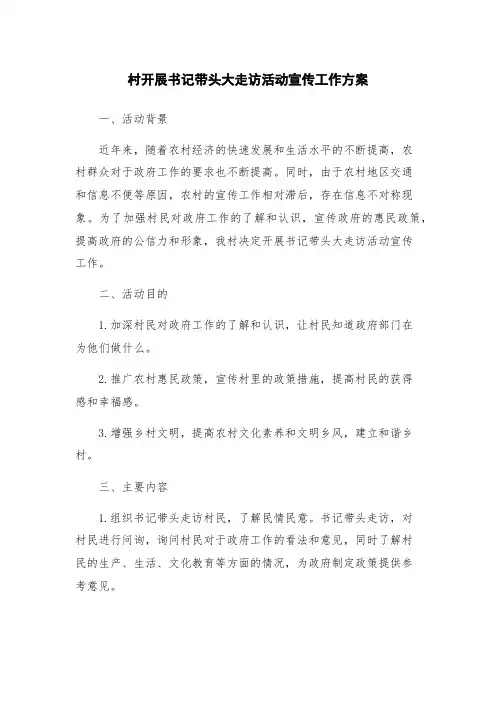 村开展书记带头大走访活动宣传工作方案