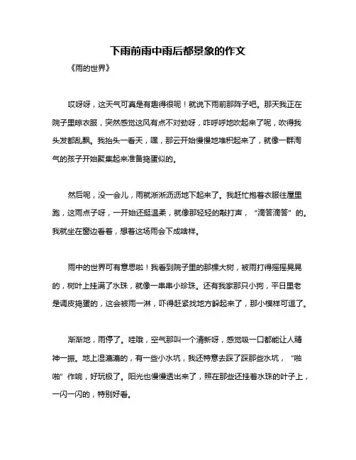 下雨前雨中雨后都景象的作文