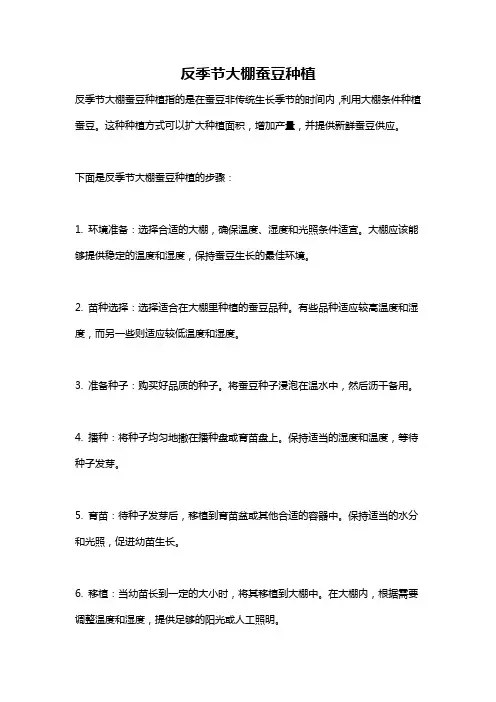 反季节大棚蚕豆种植