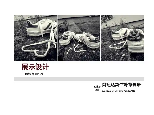 (完整版)阿迪达斯调研