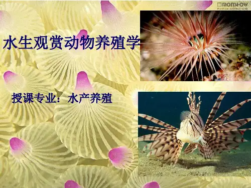 水生观赏动物养殖学-绪论