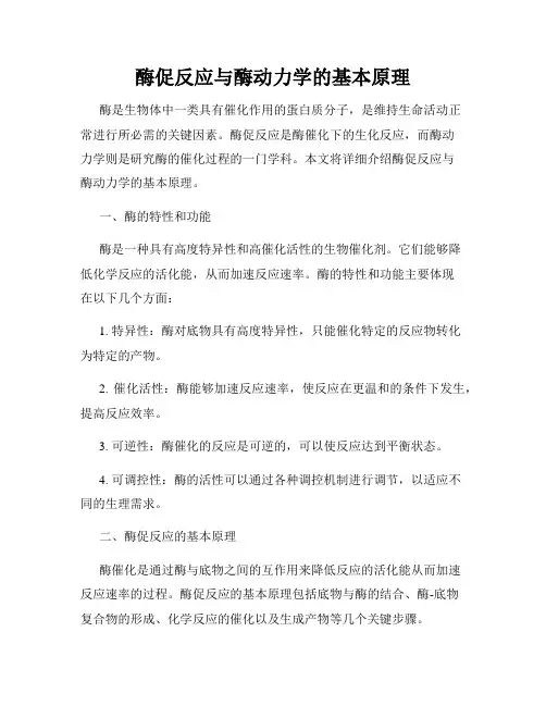 酶促反应与酶动力学的基本原理