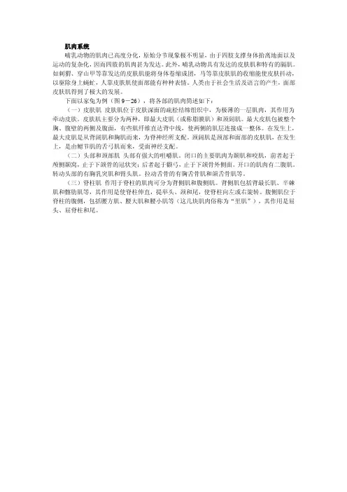 肌肉系统——精选推荐