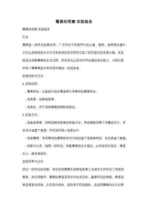 霉菌的观察 实验报告
