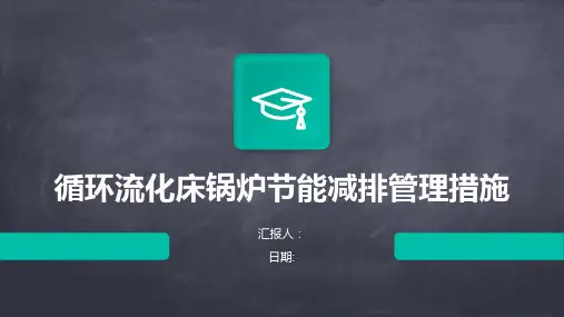 循环流化床锅炉节能减排管理措施