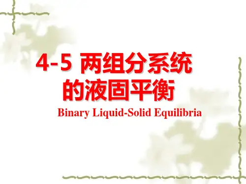 物理化学：04-05两组分系统的液固平衡