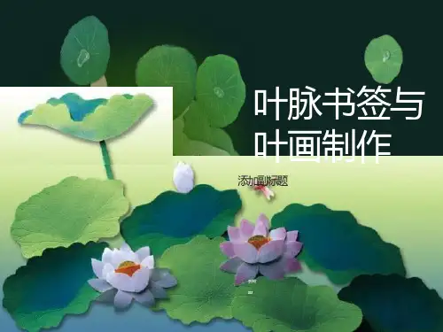 叶脉标本与叶画的制作