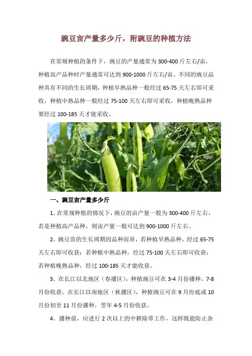 豌豆亩产量多少斤,附豌豆的种植方法