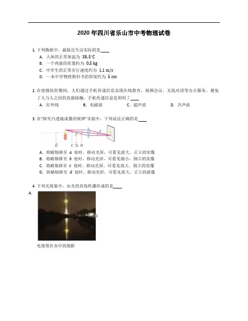 2020年四川省乐山市中考物理试卷(含答案)