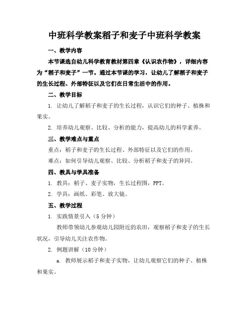 中班科学教案稻子和麦子中班科学教案(1)