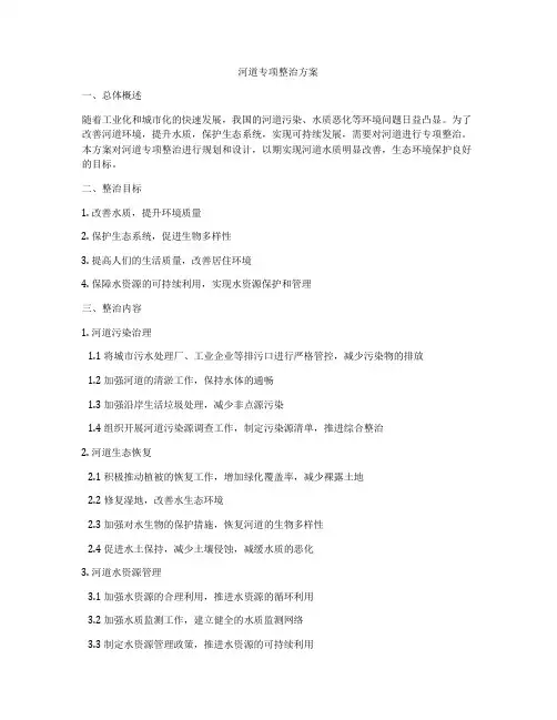 河道专项整治方案