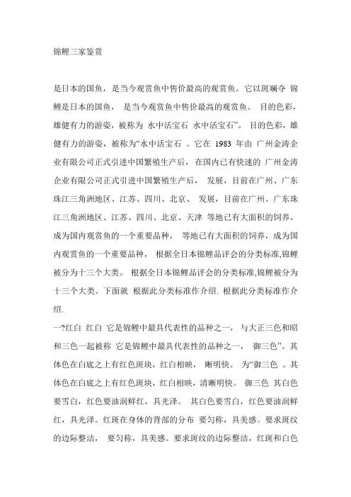 锦鲤三家鉴赏