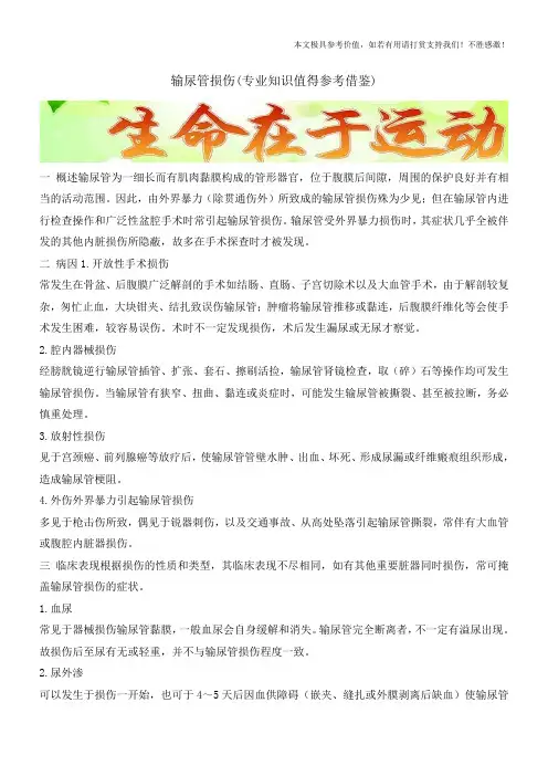 输尿管损伤(专业知识值得参考借鉴)