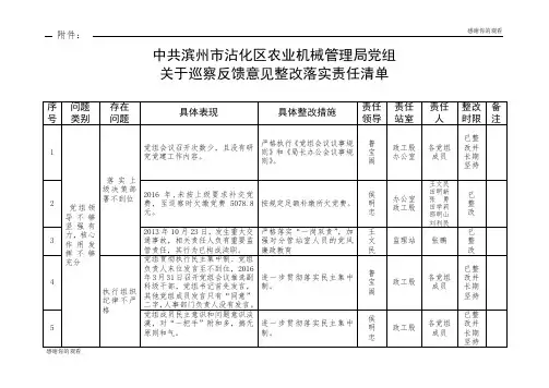关于巡察反馈意见整改落实责任清单.doc