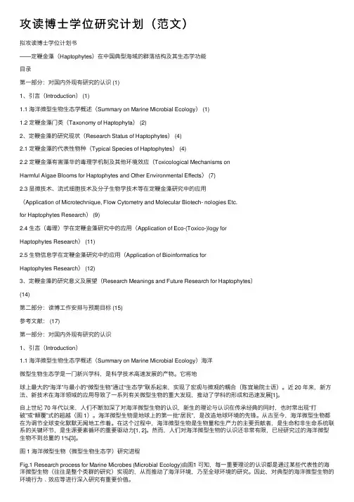攻读博士学位研究计划（范文）