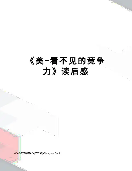 《美-看不见的竞争力》读后感