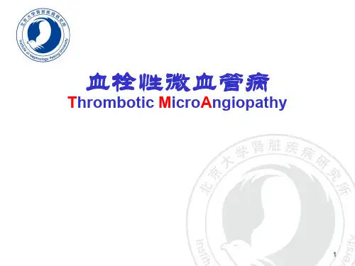 血栓性微血管病之介绍(ppt文档)