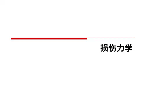 损伤力学PPT课件