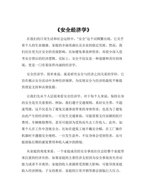 《安全经济学》