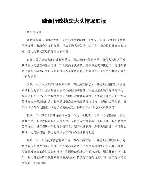 综合行政执法大队情况汇报