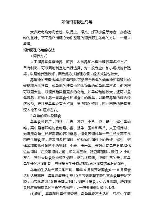 如何饲养野生乌龟