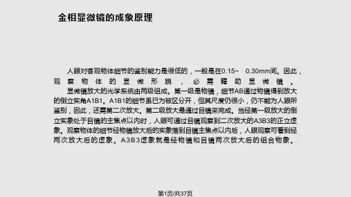 光学显微镜的使用PPT课件