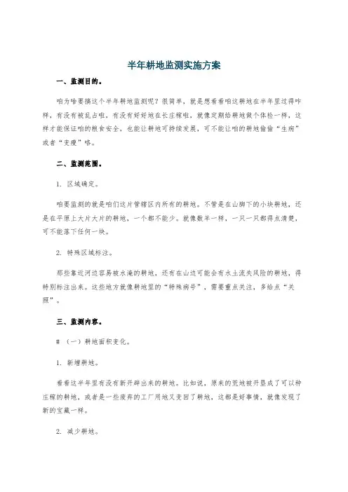 半年耕地监测实施方案