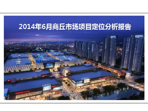 2014年6月商丘市场项目定位分析报告讲义