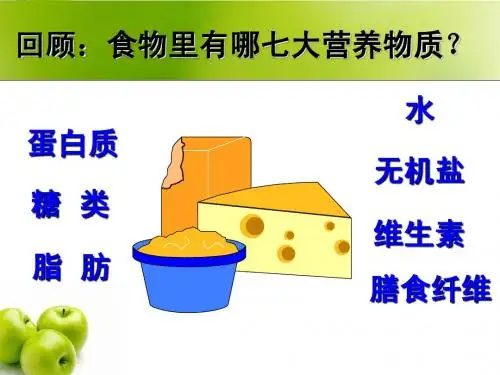 第二节__消化与吸收