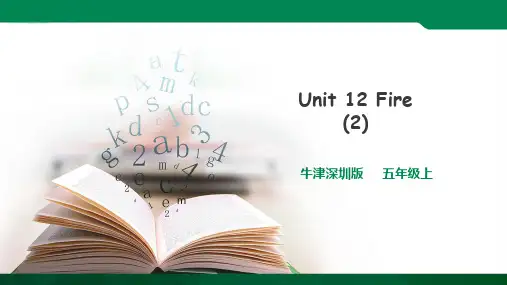 Unit 12  Fire第二课时 课件ppt（2）导学案
