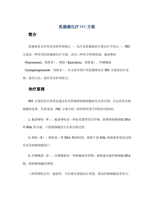 乳腺癌化疗FEC方案