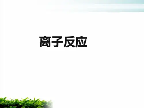 人教化学必修第二章第节离子反应(共张PPT)PPT完整版