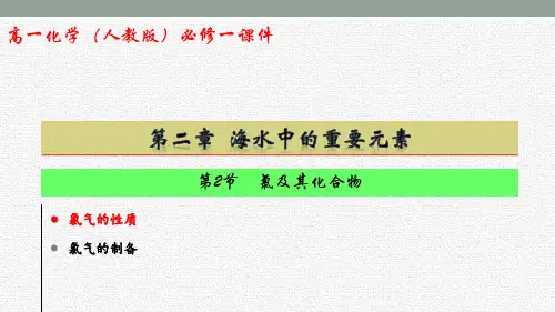 氯及其化合物 高一上学期化学人教版(2019)必修第一册