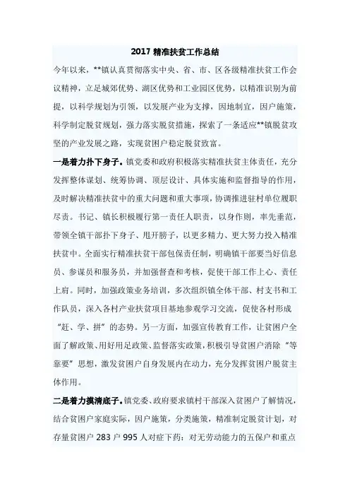2017精准扶贫工作总结