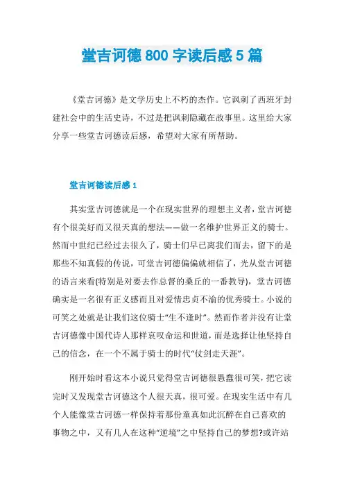堂吉诃德800字读后感5篇