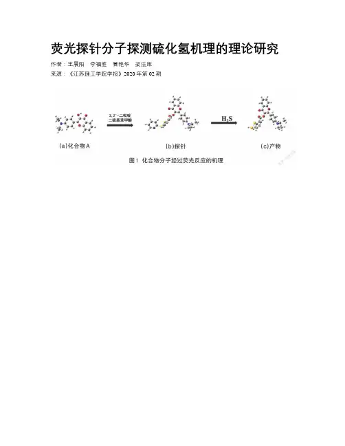 荧光探针分子探测硫化氢机理的理论研究
