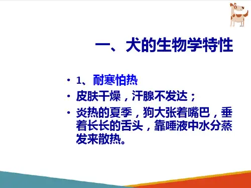 犬的生物学特性