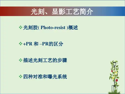 光刻与刻蚀工艺流程