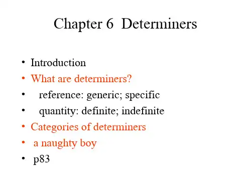 6&7 限定词Determiners